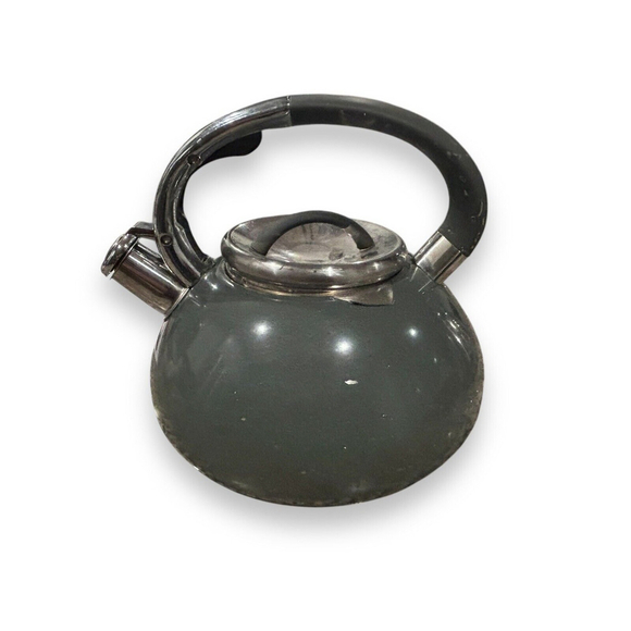 Balduzzi Other - Balduzzi Italian Style Induction Eco friendly Stainless Steel Teapot Soft Handle